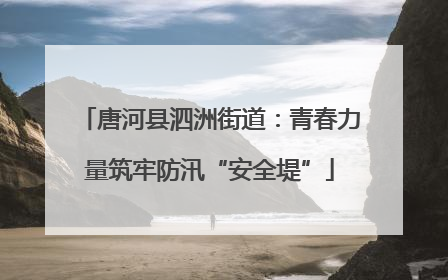 唐河县泗洲街道：青春力量筑牢防汛“安全堤”